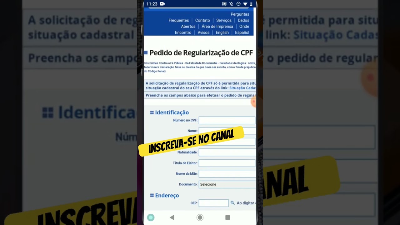 Regularização do CPF pelo celular part 2