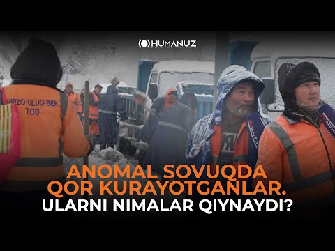 Video: Obodonlashtirish uchun subalp archalari: Subalp archalari uchun landshaftdan foydalanish