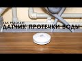 Как работает датчик протечки воды DIGMA DiSense W1