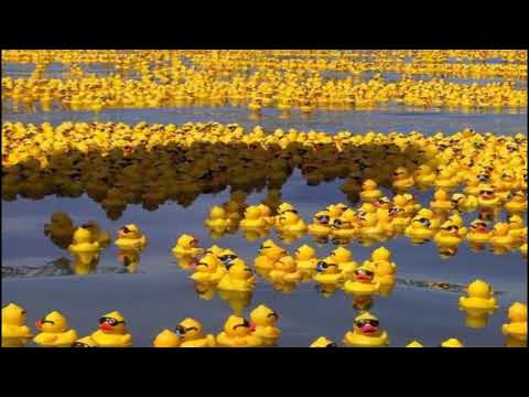 عبدالمنعم مدبولي كاكي كاكي كاك النسخه الفرنسيه