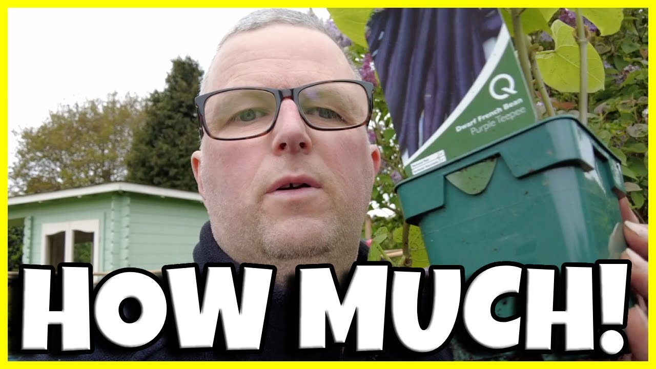 GARDEN JOBS WHAT I CAN GET DONE IN JUST 2 HOURS PLANTING DWALF BLACK garden-jobs-what-i-can-get-done-in-just-2-hours-planting-dwalf-black