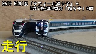 鉄道模型Ｎゲージ E261系サフィール踊り子とE257系2000番台「踊り子」9両の走行