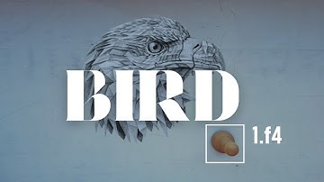 Bird Opening: Ideas, Structures, Principles, Theory, Transpositions · Chess Openings