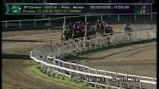 Carr.8 Premio: EL GALACTICO (2°TURNO) 26-02-2019