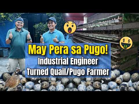 May Pera sa Pugo! Industrial Engineer Turned Quail/Pugo Farmer
