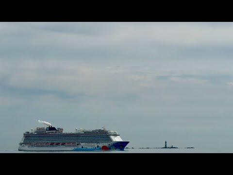 Search ongoing after crew member falls from Boston-bound cruise ship