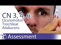 Cranial nerves 3 4 6  oculomotor trochlear abducens nerve assessement for physiotherapists