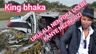 King Bhaka Ucacisa Ngezingozi Nokuthi Ikhona Yini Into Yokulala Nenyoka