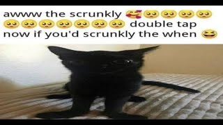The Scrunkly