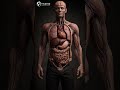 How Heroin Destroys Your Brain &amp; Body in 30 Seconds | Medical Animation Warning