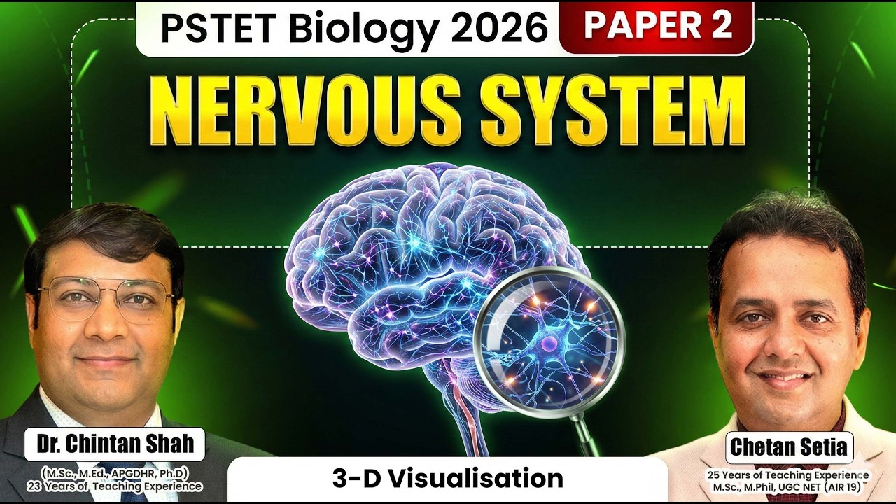 Nervous system | 3-D Visualisation  || PSTET Botany & Zoology || Chintan Shah