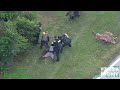Deltona murder arrest: 10/8/23