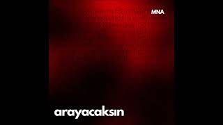 Mna - Arayacaksın