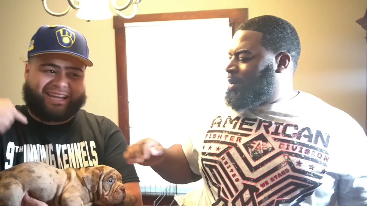 2 puppy pick up from transformation kennels