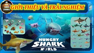 Giới thiệu game Hungry Shark Word - Dành cho anh em mới chơi ! screenshot 2