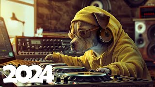 Music Mix 2024 🎧 EDM Mix of Popular Songs 🎧 EDM Gaming Music