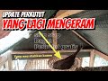 Yang mau anak perkutut gratisan, tonton video UPDATE PERKEMBANGAN PERKUTUT YANG LAGI MENGERAM