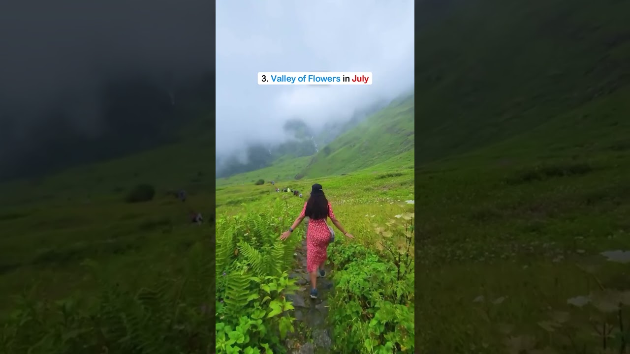 8 Best Places to Visit in India (May–December) 🇮🇳 | Month Wise Travel Guide