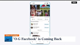 Midwest Access -What's Trending? Adult Stuffed Animals, O-G Facebook & AI-Cloned Human Models