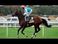 Frankel The Wonder Horse All 14 Wins 