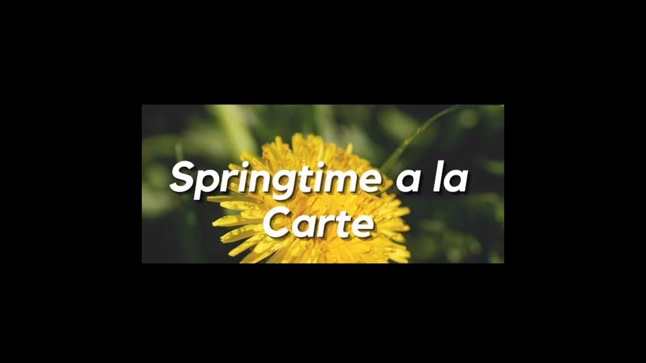 Springtime A la carte english class8 pathways oxford answers reader YouTube