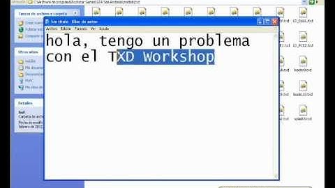 Problema con TXD Workshop