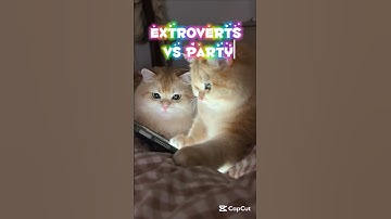 Extroverts vs party #extrovert #mbti #cat