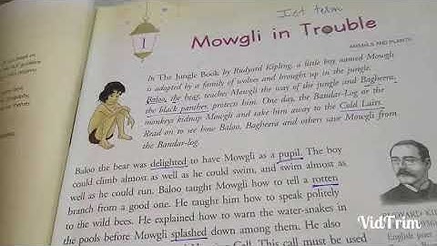 Class -6 th, Sub.-English 2,Video -4, Ch.-1 Mowgli in trouble , (Part -2),by Mrs Veenu Thakur.