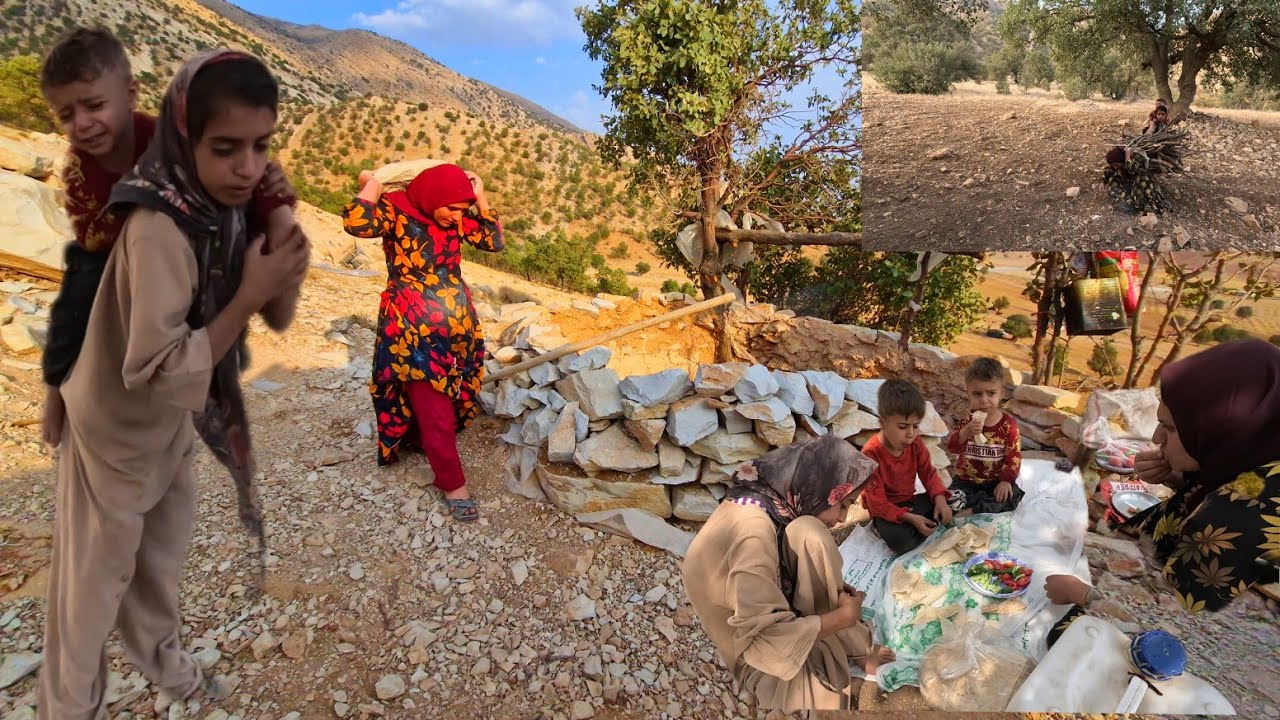Mountain Journey of a Nomadic Mother and Children | Collecting Firewood ...