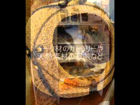 チコ　タイ・バンコクWalker