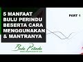 28+ Bulu Perindu Adalah Wikipedia 28+ Bulu Perindu Adalah Wikipedia