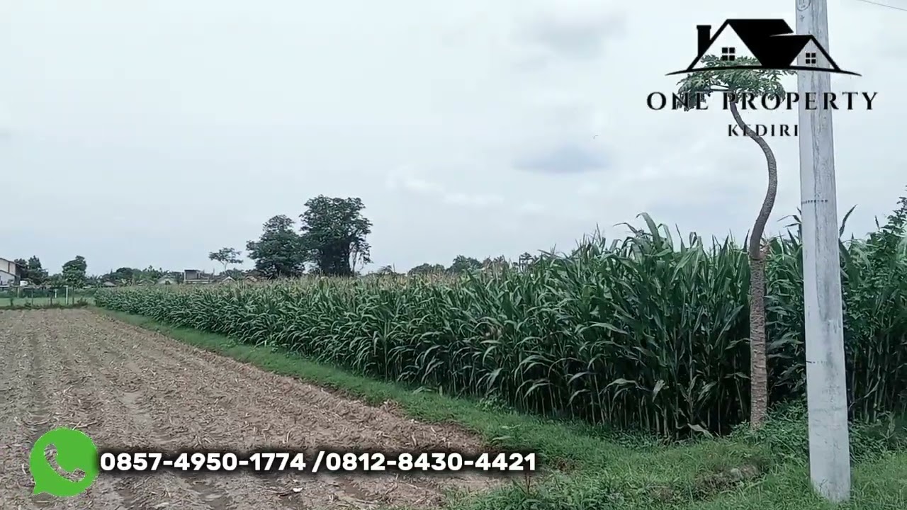 Lahan di jual 4 hektar,,murah,,,!!