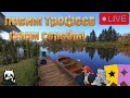 🔴ПРЯМОЙ ЭФИР В РУССКАЯ РЫБАЛКА 4/НУЖЕН СИНЯК!  И ПОФАРМИМ СЕРЕБРА💰