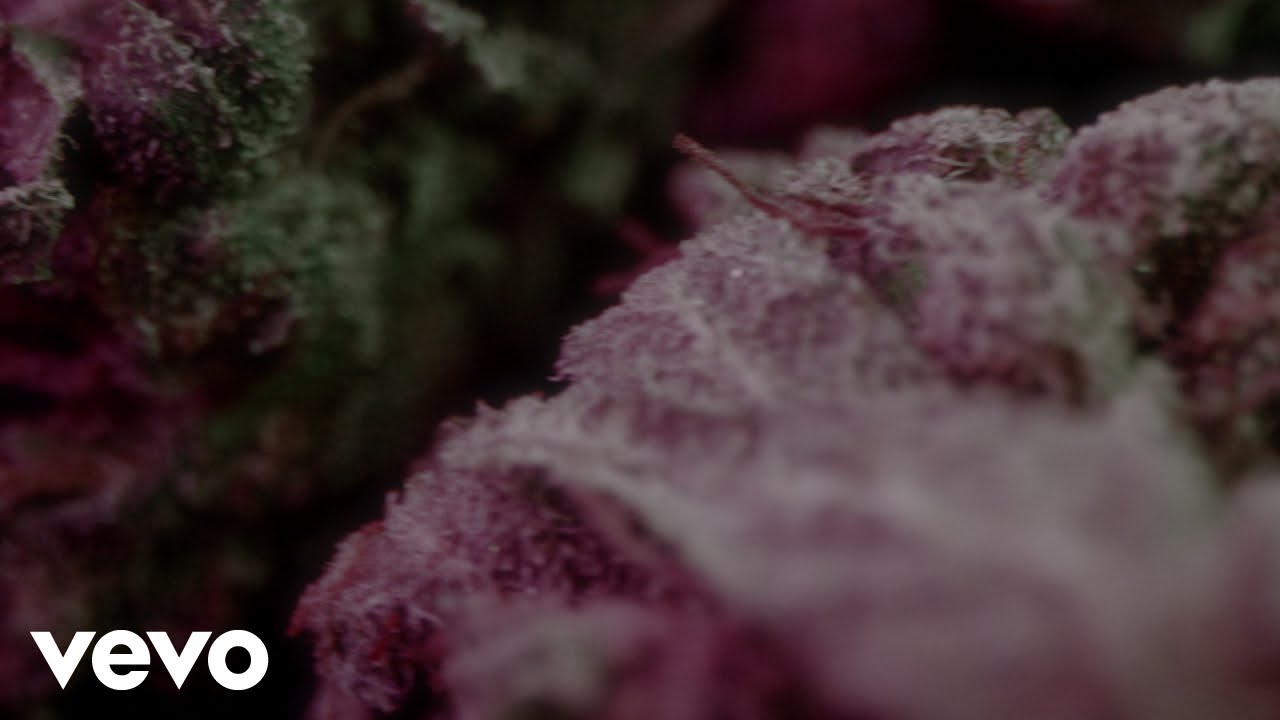 Obejrzyj EDGE - Routine (Audio) w YouTube Obejrzyj EDGE - Routine (Audio) w YouTube