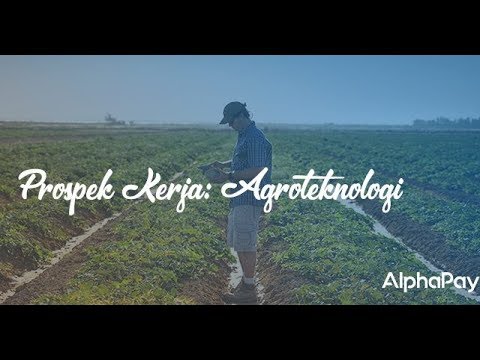 Video: Agroteknik Pertanian Semula Jadi (APZ) - 1