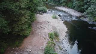 Calawah River /Big whole camp site.