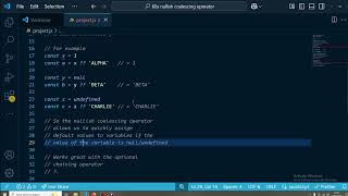 Javascript Nullish Coalescing Operator in 60s #coding #javascript #programmer #programming #software Guide