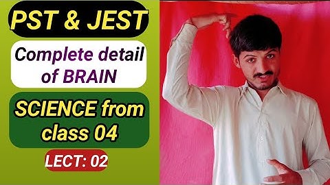 Preparation for PST & JEST/ General.Science from class 4/ complete details of.the Brain/ PST JEST