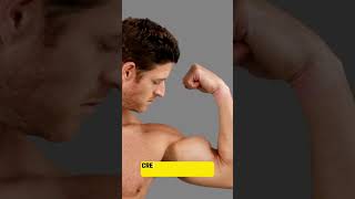 🏋️‍♂️ Why YOU Should Be Using Creatine!