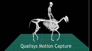 Qualisys Motion Capture of a Horse and rider