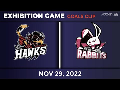 호크스 vs 안암래빗츠 [유치부] EXHIBITION GAME [GOAL] 20222.11.29