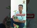 Adenium Bonsai Transformation | Desert Rose Bonsai | Adenium Wiring Technique | Bonsai Easy Way