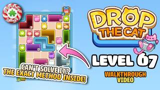 Drop the Cat - Level 67 Walkthrough Solution