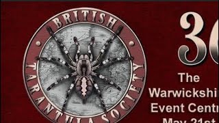 British Tarantula Society exhibition 2023