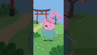 PEPPA PIG GROUNDED VIDEO