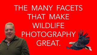 The Many Facets to Wildlife Photography for New & Existing Photographers.