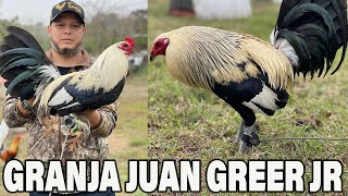 Giro Grey Sweater Radio Kelso GRANJA GREER - Juan Greer Jr