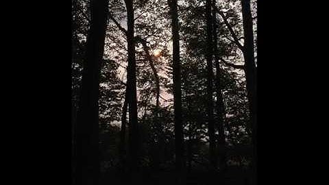 Joschka Bienhüls - Plain sight vanished without a trace