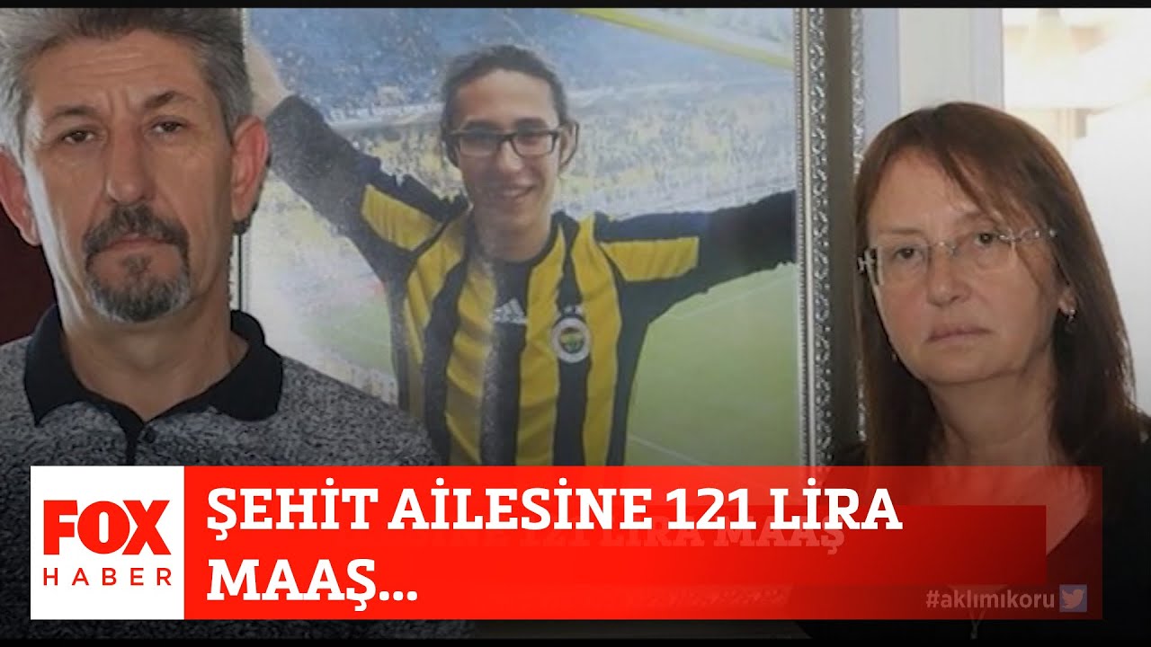 eşek at köpek çiftleşmesi yasli amlar