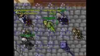 Lion Harrier - The noob on Tibia #3